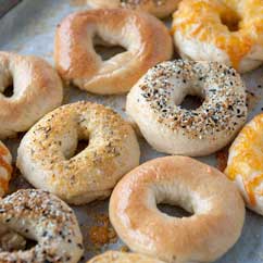 Bagels